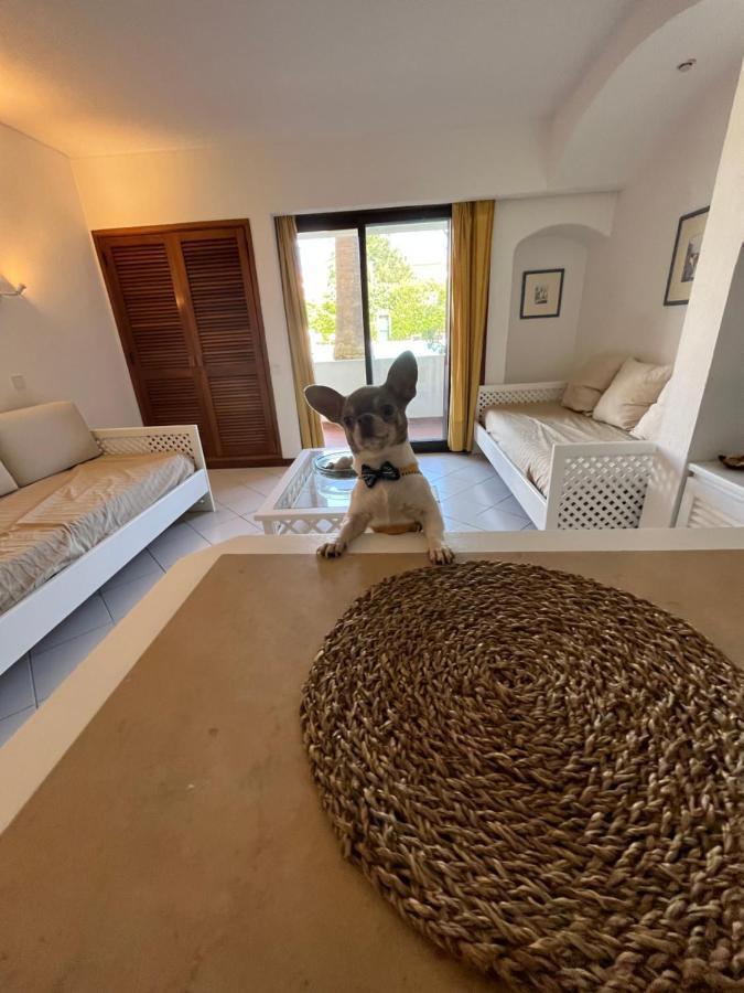 Lv Apartment 阿尔布费拉 外观 照片